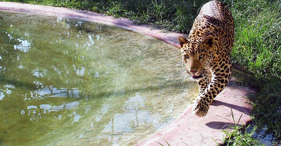 Sarthana Nature Park & Zoo